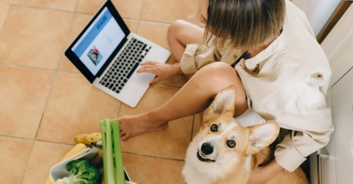 Comment bien choisir l'épicerie en ligne pour vos besoins