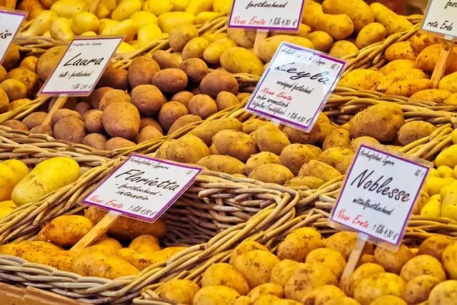 Comment choisir les meilleures épiceries en ligne pour vos besoins