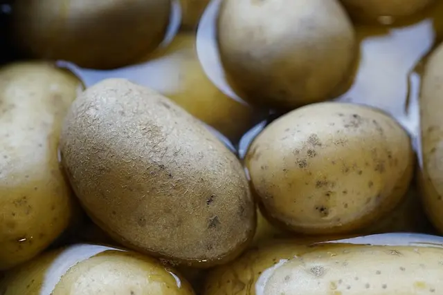Comment bien choisir ses produits frais en épicerie en ligne