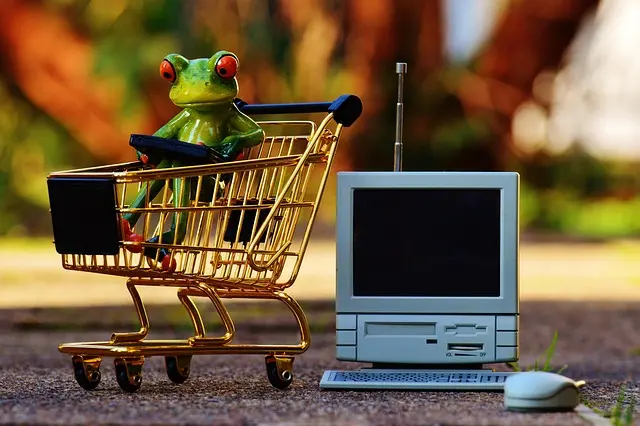 Les meilleures astuces pour économiser sur l'épicerie en ligne