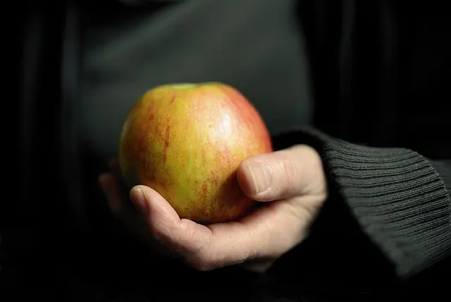 Comment choisir les meilleures options de livraison en épicerie en ligne