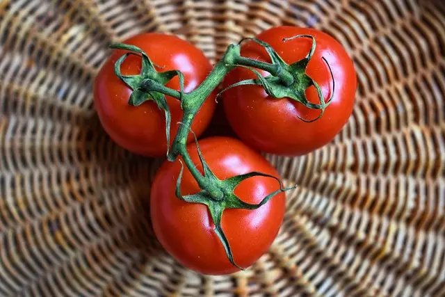 Les avantages des paniers de saison en épicerie en ligne