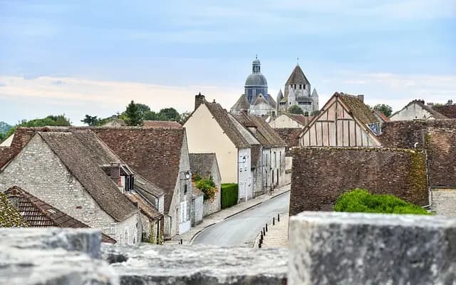 Épicerie en ligne : Comment optimiser votre expérience d'achat