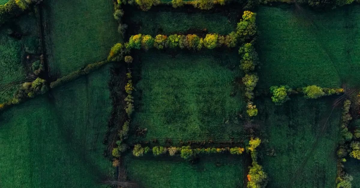 Comment la livraison à domicile a transformé nos habitudes