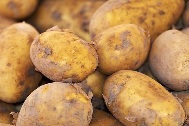 Les meilleures astuces pour choisir des produits bio en épicerie en ligne